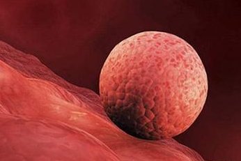 高龄女性做试管会遇到哪些困难？本篇为你分析原因以及注意事项！