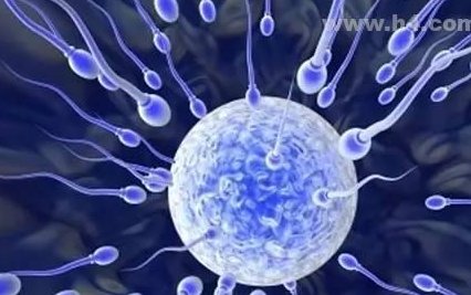 做了结扎手术可以在辽阳市试管医院做试管婴儿吗？费用是多少