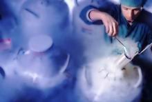 2026石家庄试管费用大揭秘！3分钟带你速览全部花费！